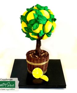 Katy sue designs - citrus fruit bij cake, bake & love 16