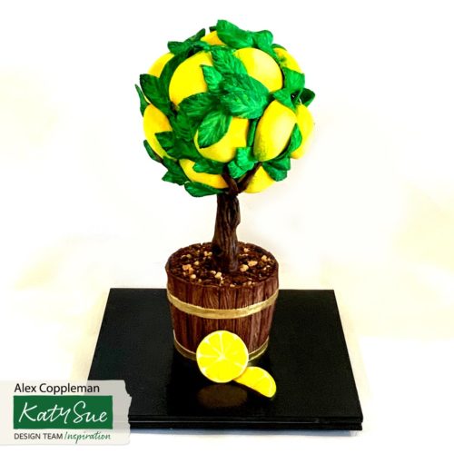 Katy sue designs - citrus fruit bij cake, bake & love 9