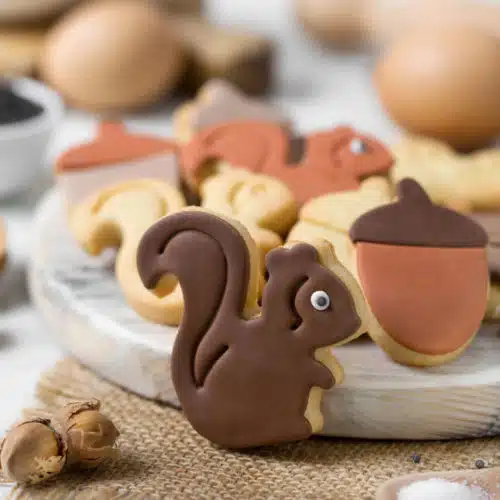 Koekjesuitsteker set eekhoorn en eikel - afbeelding 2