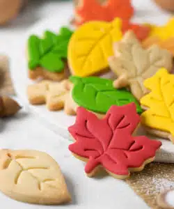 Alternative view of Koekjesuitsteker set Herfstbladeren