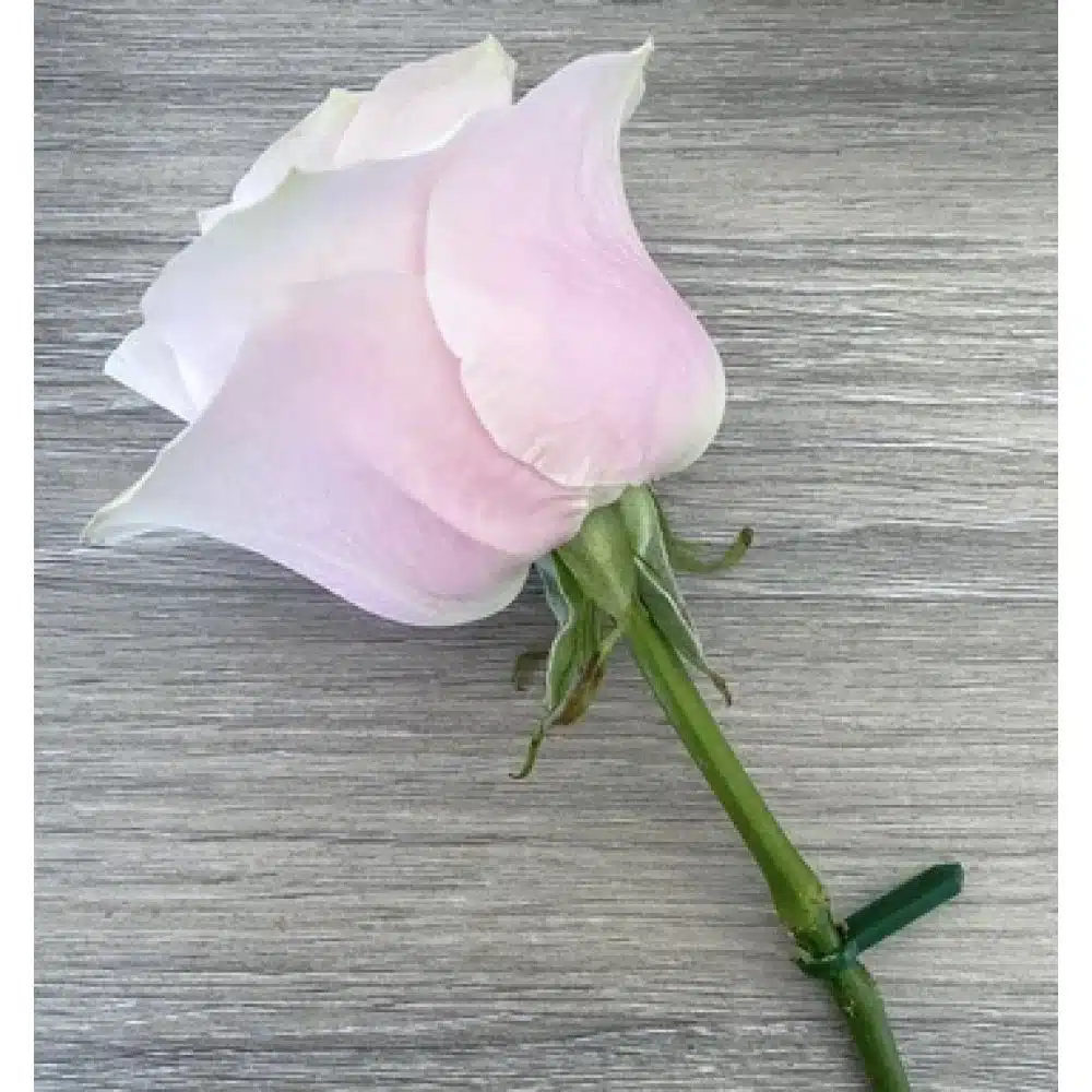 Cake pin set 6 - groen bij cake, bake & love 8 Cake pin set 6 - groen - afbeelding 4