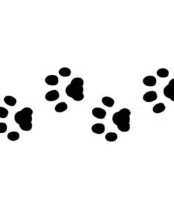Jem stencil - paw prints bij cake, bake & love 7