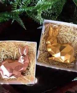 Chocolade mal konijn diamant bij cake, bake & love 12 Chocolade mal konijn diamant bij cake, bake & love 11