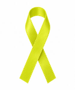 Lint per meter 1,5 cm breed - Lime Green/Groen