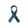 Lint per meter 1,5 cm breed - steel blue/turquoise bij cake, bake & love 4 Lint per meter 1,5 cm breed - steel blue/turquoise bij cake, bake & love 3