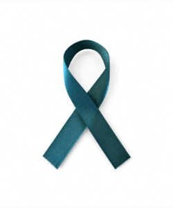 Lint per meter 1,5 cm breed - Steel Blue/Turquoise
