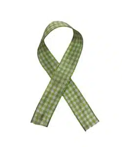 Lint per meter 1,5 cm breed - Ruit Groen