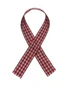 Lint per meter 1,5 cm breed - Ruit Rood