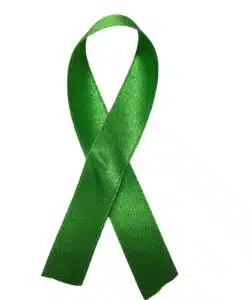 Lint per meter 1,5 cm breed - Groen