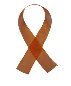 Lint per meter 1,5 cm breed - Organza Oranje