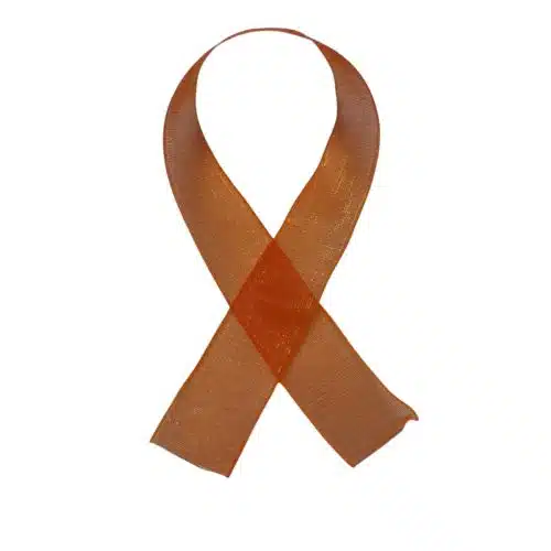 Lint per meter 1,5 cm breed - organza oranje