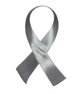 Lint per meter 1,5 cm breed - Zilver