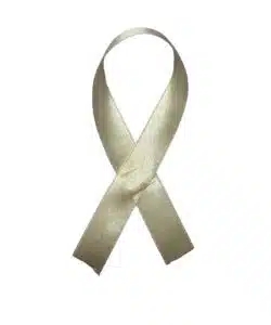 Lint per meter 1,5 cm breed - Ivoor/Crème