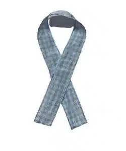 Lint per meter 1,5 cm breed - Ruit Licht Blauw