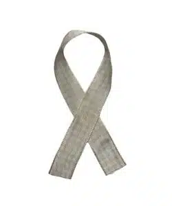 Lint per meter 1,5 cm breed - Ruit Crème