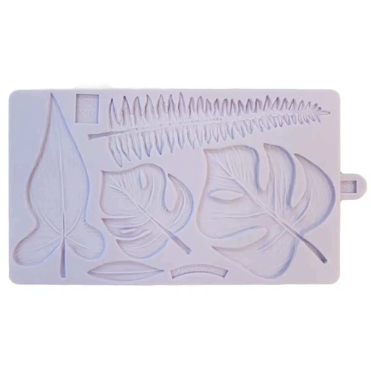 Karen davies mould  tropical leaves bij cake, bake & love 5 Karen davies mould  tropical leaves
