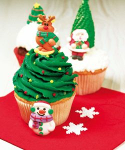 Dekoback suikerdecoraties christmas p/12 bij cake, bake & love 7