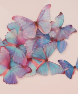 Crystal candy edible butterflies - enchanted butterflies bij cake, bake & love 9
