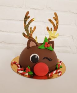 Rudolf the rednose reindeer taartje pakket + stap-voor-stap instructiefilmpje (inclusief bakvorm) bij cake, bake & love 9