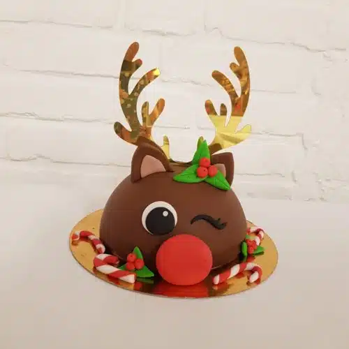 Rudolf the rednose reindeer taartje pakket + stap-voor-stap instructiefilmpje (inclusief bakvorm) - afbeelding 2