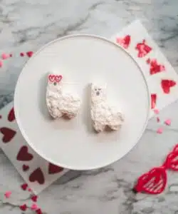 Lama cake vormpjes bij cake, bake & love 11