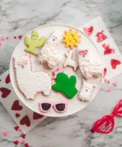 Lama cake vormpjes bij cake, bake & love 13