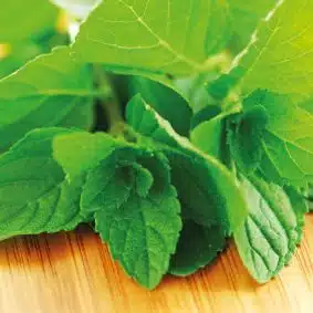 Funcakes smaakpasta groene munt 100 g bij cake, bake & love 6 Funcakes smaakpasta groene munt 100 g - afbeelding 2