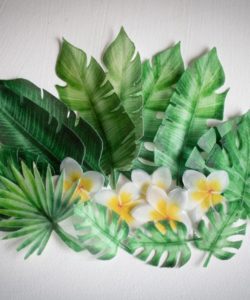 Crystal candy edible decorations - tropical leaves & flowers bij cake, bake & love 19