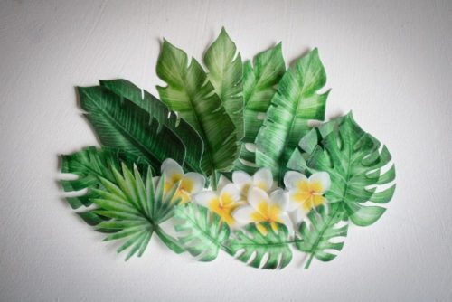 Crystal candy edible decorations - tropical leaves & flowers bij cake, bake & love 10