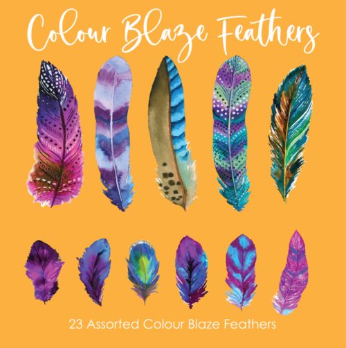 Crystal candy edible decorations - colour blaze feathers bij cake, bake & love 5