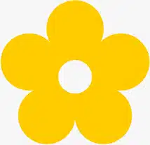 Pakketproduct: ouwelbloem geel bij cake, bake & love 4 Pakketproduct: ouwelbloem geel