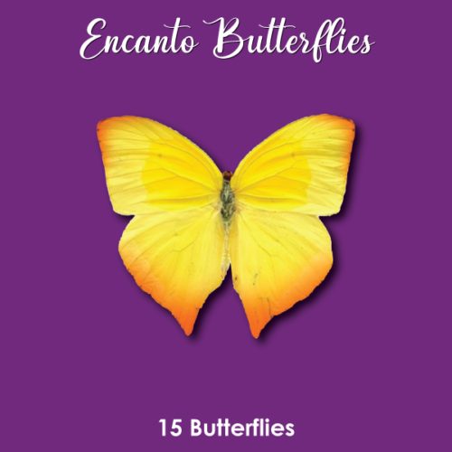 Crystal candy edible butterflies - candy encanto bij cake, bake & love 5