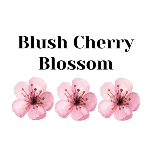 Crystal candy edible flowers kit - cherry blossom bij cake, bake & love 11