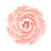 Gumpaste briar rose pale pink 7,6 cm bij cake, bake & love 3