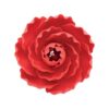 Gumpaste briar rose red 7,6 cm bij cake, bake & love 3