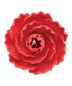 Gumpaste Briar Rose Red 7,6 cm