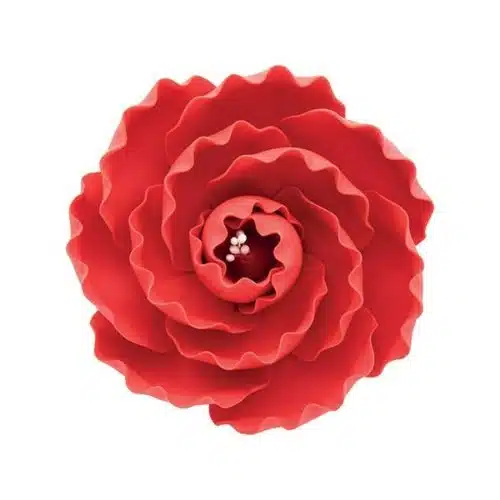 Gumpaste briar rose red 7,6 cm