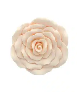 Gumpaste Rose Ivory 10 cm