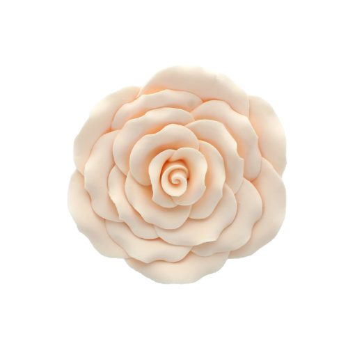 Gumpaste rose ivory 10 cm bij cake, bake & love 5