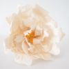 Crystal candy edible flowers kit - peony white bij cake, bake & love 1