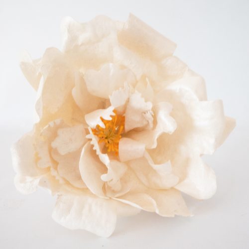 Crystal candy edible flowers kit - peony white bij cake, bake & love 5