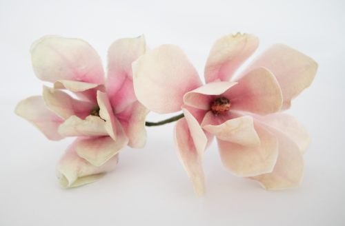 Crystal candy edible flowers kit - magnolia pink bij cake, bake & love 5