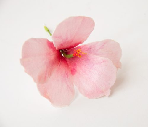 Crystal candy edible flowers kit - hibiscus pink bij cake, bake & love 5