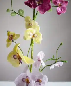 Crystal candy edible flowers kit - orchid white bij cake, bake & love 11 Crystal candy edible flowers kit - orchid white bij cake, bake & love 10