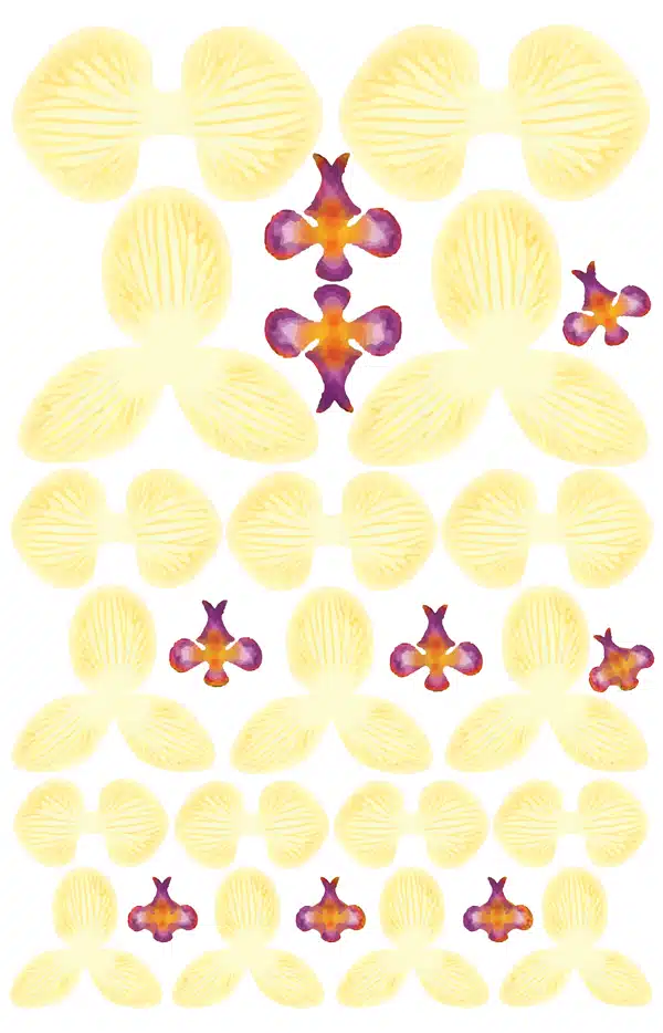 Crystal candy edible flowers kit - orchid white bij cake, bake & love 5 Crystal candy edible flowers kit - orchid white
