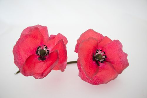 Crystal candy edible flowers kit - poppies red bij cake, bake & love 5