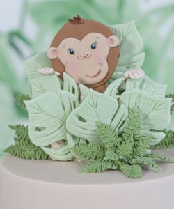 Karen davies silicone mould - aap - safari animal faces bij cake, bake & love 8