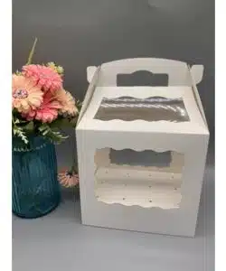 Cake Pop Transport & Gift Box - 21,6 x 15,24 x 20,3 cm