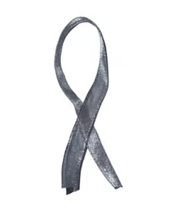 Lint per meter 1,5 cm breed – Glitter Zilver