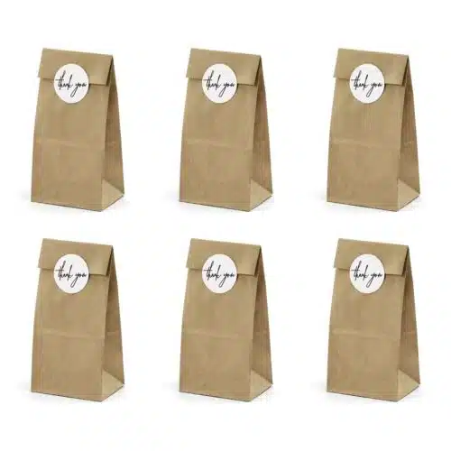 Partydeco traktatie zakjes kraft papier pk/6